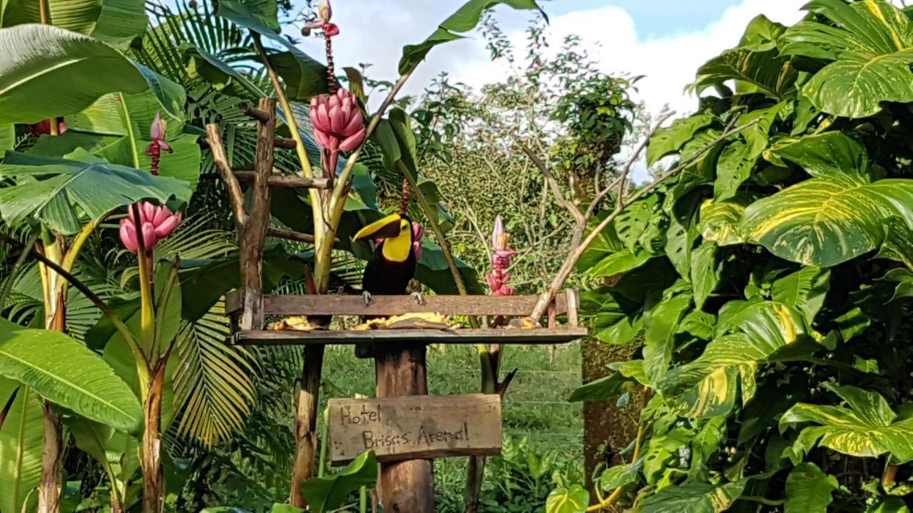 Hotel Brisas Arenal La Fortuna Ngoại thất bức ảnh
