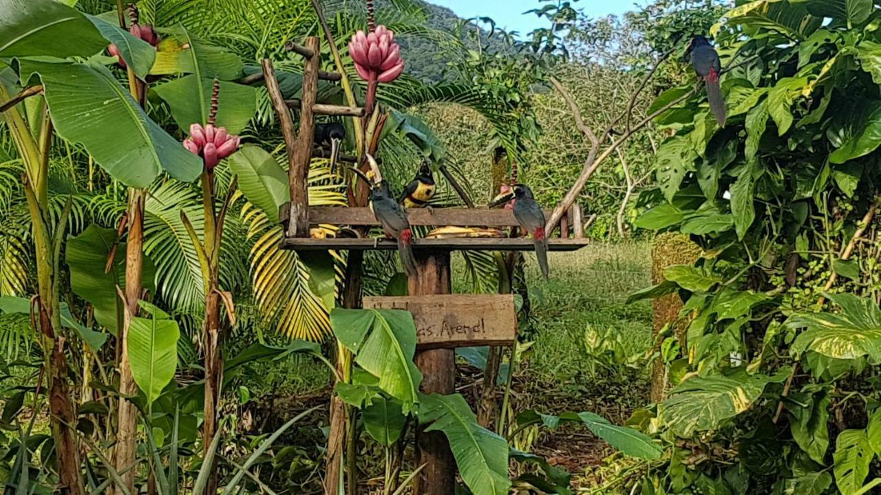 Hotel Brisas Arenal La Fortuna Ngoại thất bức ảnh
